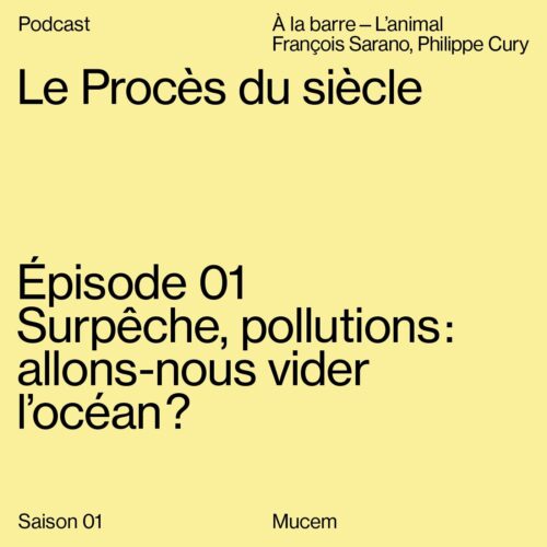 Surpêche, pollutions : allons-nous vider l'océan ?