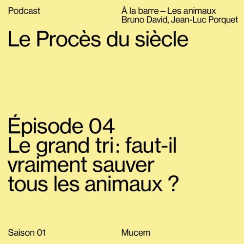 Le grand tri : faut-il vraiment sauver tous les animaux ?