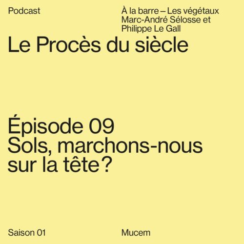 Sols, marchons-nous sur la tête