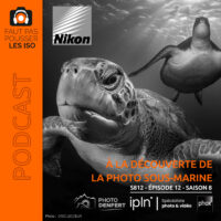 Photographe pratiquant la photographie sous-marine avec un caisson étanche et un objectif fisheye face à un animal marin