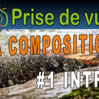 Photographe appliquant les règles de composition en photo sur un paysage avec rochers, eau et bois mort