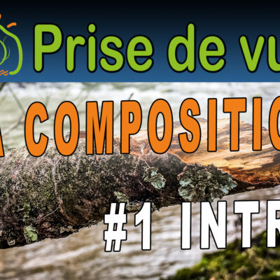 Photographe appliquant les règles de composition en photo sur un paysage avec rochers, eau et bois mort