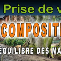 Illustration du concept de l'équilibre des masses en photographie, un principe de composition.
