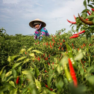 Portrait d'Etienne Bossot, photographe français expatrié au Vietnam