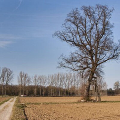 Pochette du podcast sur le choix d'un objectif pour la photo de paysage